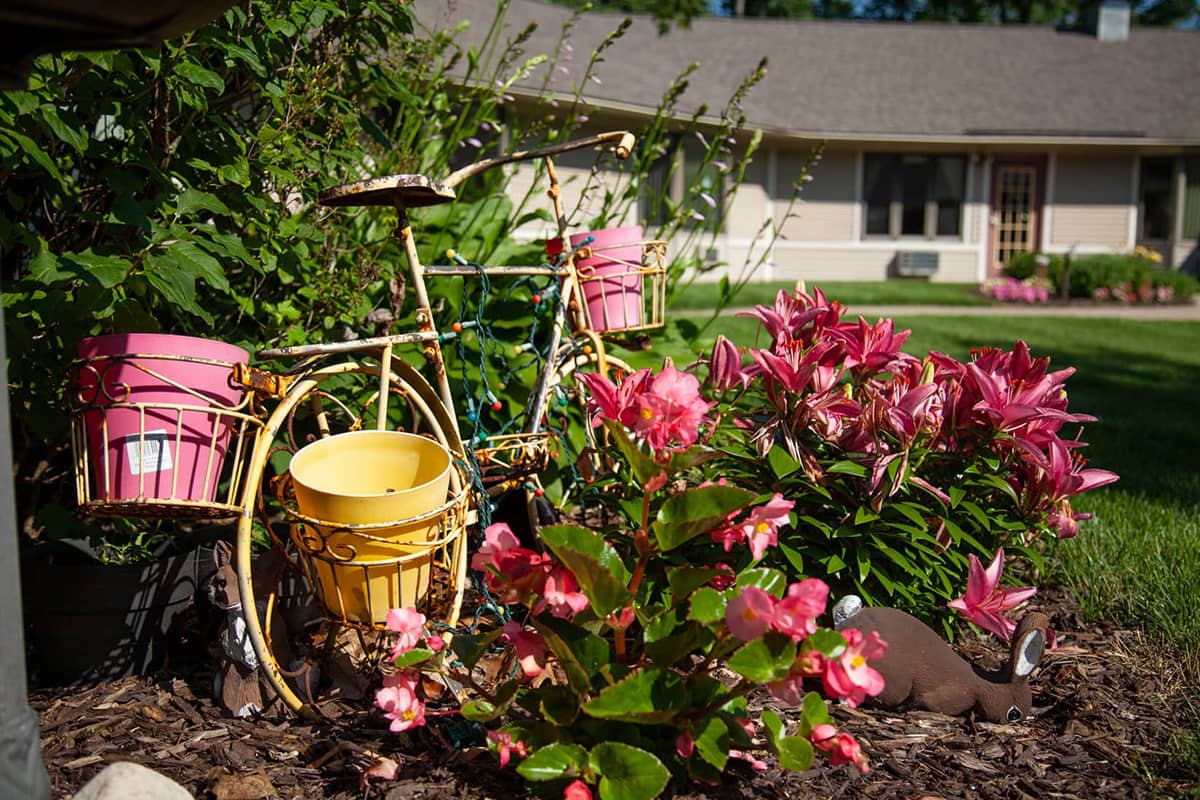 Rose Garden courtyard bike Rose Garden courtyard bike