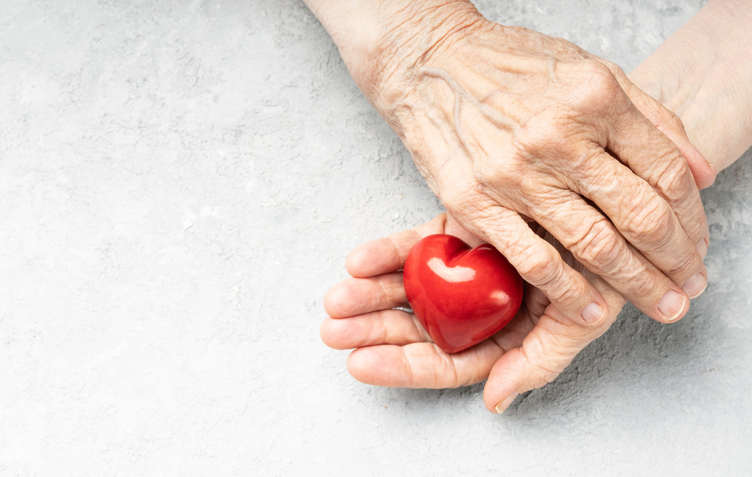 Elderly heart health. Wrinkled hands holding red heart symbol. B Giving. Wrinkled hands holding red heart symbol. Background with copy space.